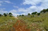 Country road