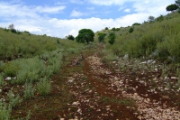 Country road, Albania