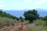 Country road