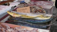 Seafood in Marsaxlokk, Malta