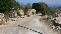 Road to St. Peter's Pool, Malta