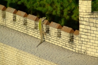 DSCF4777