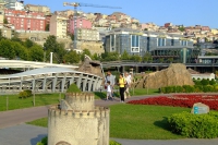 DSCF4784