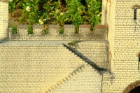 DSCF4786