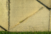 DSCF4787