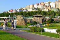DSCF4805