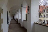 DSCF8500