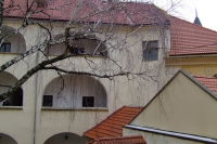 DSCF8503