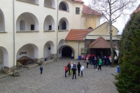 DSCF8516
