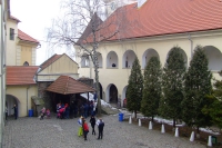 DSCF8517