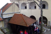DSCF8519