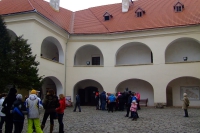 DSCF8521