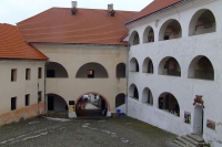 DSCF8524