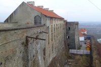 DSCF8526