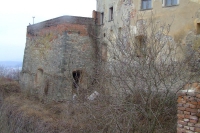 DSCF8528