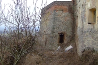 DSCF8529