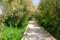 DSCF2723