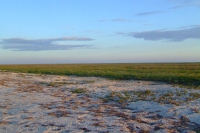 Tendra Spit