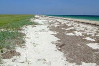 Tendra Spit
