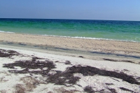 Tendra Spit