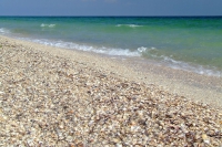 Tendra Spit