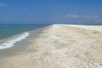 Tendra Spit