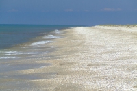 Tendra Spit