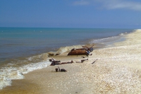 Tendra Spit