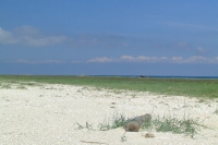 Tendra Spit