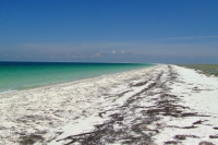 Tendra Spit