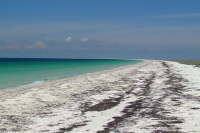 Tendra Spit