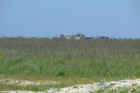 Tendra Spit