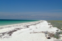 Tendra Spit