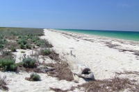 Tendra Spit