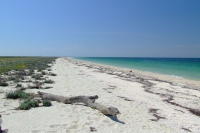 Tendra Spit