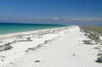 Tendra Spit