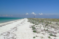 Tendra Spit