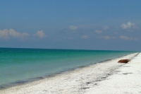 Tendra Spit