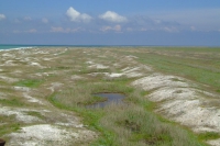 Bili Kuchuhury