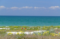 Gulf of Tendra