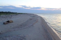 In west of Tendra Spit