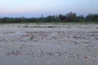 Tendra Spit