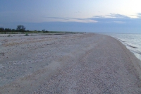 In west of Tendra Spit