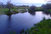 Lake on the west of Tendra Spit