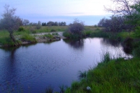 Lake on the west of Tendra Spit