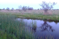 Lake on the west of Tendra Spit