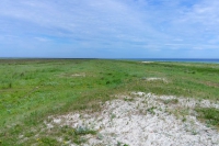 Tendra Spit