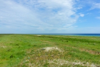 Tendra Spit