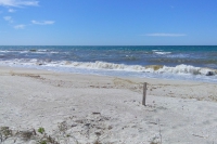 Tendra Spit