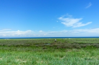 Tendra Spit